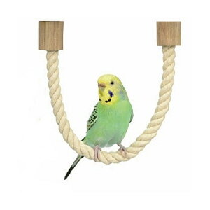 y6Zbgz SANKOB41 [vp[` 37Ƃ܂ ~܂  Sf