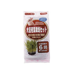 y6Zbgz A^ p唞t͔|Zbg 6 pE_[  S t[h   ybg ы pi Sf