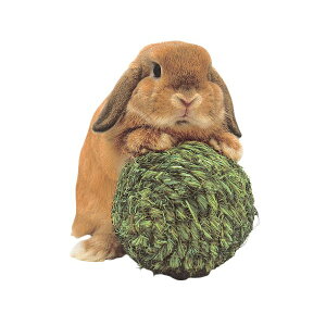 y6Zbgz  y {[ EFbg  SN ETM JC KAWAI p pi {[ `` {[ bg  `V[ 