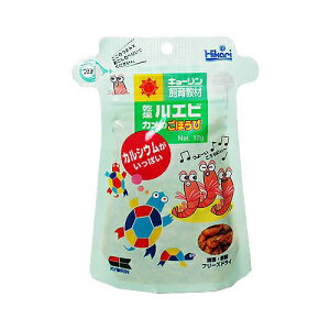 y6Zbgz L[ Gr Ĵق 12g Gr ybg MыEϏ܋ SN Si J̃GT JVE  GT 狳 Y  Ђ pi t[h { 