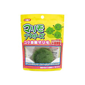 y6Zbgz CgXC Rbg @\ }uU[Y RP}} MыEϏ܋ SN pi  Ϗ܋p p  Y pi { 