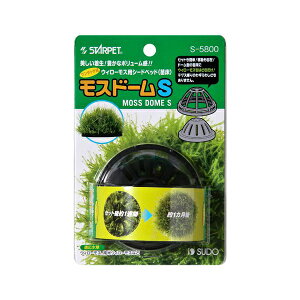 y6Zbgz Xh[ Xh[ STCY 8211750 MыEϏ܋ S SUDO pi Ϗ܋ ybg pi pANZT[ Sf