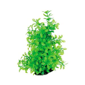 y6Zbgz XyNguYWp eg Tetra tLVuvg FP-2 MыEϏ܋ ANAEpi XyNg XyNguY Ϗ܋pi ANZT[ ANA