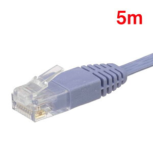 I[d@ PC-N1066 FL CAT6 LAN 5M PB OHM tbg^Cv ItBX Rs[^ tbg