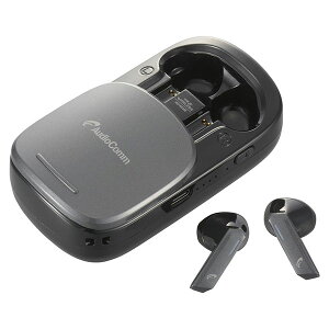 オーム電機 HSP-W530N 完全ワイヤレスイヤホン+充電ケース兼用ワイヤレススピーカー (Bluetooth/ブラック) スピーカー ヘッドセット 通話 充電式 ワイヤレスイヤホン ワイヤレススピーカー ブラ