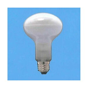 �y5�Z�b�g�z ���� 80400 ���t�����v 100W �t���X�g ����E26