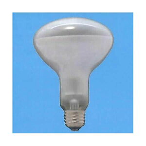 �y10�Z�b�g�z ���� 80420 ���t�����v E26 100W �t���X�g