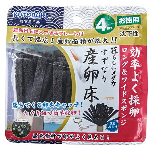 H| 炵Ƀ_JȂ胁_JY 4 SN RguL kotobuki RguLH| pi Y   _J 炵Ƀ_J Sf i1̂lił