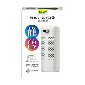 XyNguYWp eg Tetra vX`bN TCgtbNX ~j tB^[ ANAE Mы _J  SN XyNg XyNguY P 