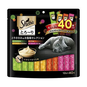 y3Zbgz }[XWp~ebh V[o Sheba Ƃ~ eB Ƃ肳&ZNV Lp Lp Ƃ 胁eB }[XWp Lbgt[h L EFb