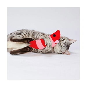 yeBI eLp肮 qGr SL Petio W26224 Lp ybgpi fC[ ʂ lV ybgp lR 肮 Lbg pi qyM qj qL  ybg