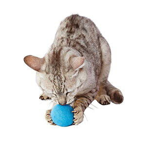 �y3�Z�b�g�z �y�e�B�I �L�p�������� ��D���u���[�̑傫�ȃE�[���{�[�� �S�L�� Petio W26816 �y�b�g�p�i �l�R �L���b�g �y�b�g �������� �L�p�ߋ� ���L�p�i �ߋ� ���S�f��