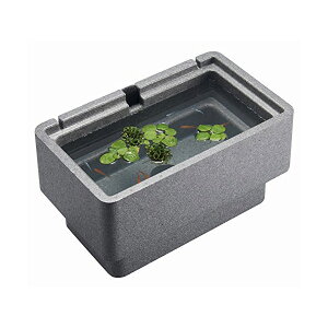 WFbNX _JC K ɐBP[XS Sf i1̂lił