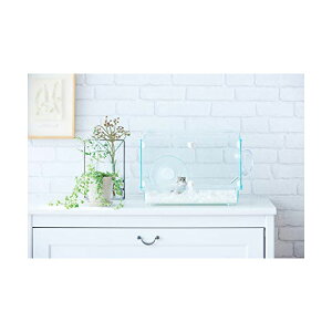 WFbNX nr񂮃OX n[j[ 360 vX Sf i1̂lił