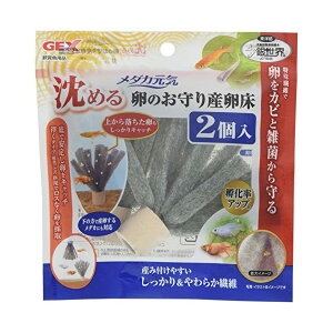 y3Zbgz WFbNX _JĈY ߂ 2 ̃Jrh~ @ e 2 GEX ANAE _JC ̂Y ɐB Ϗ܋p p P[