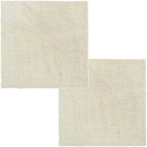 IJ ybgpO}bg s^yg 45cm×45cm 2Zbg v[ x[W OKA g[Ή WCg CeA z J[ybg tA}bg ybgp}bg Aj} t[