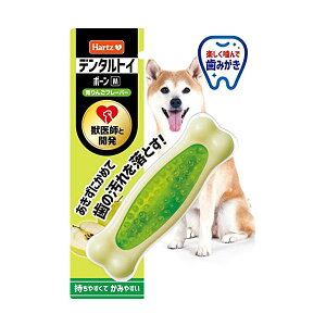 y6Zbgz ZAO C^[iVi n[cf^{[ 񂲃t[o[ M Sf