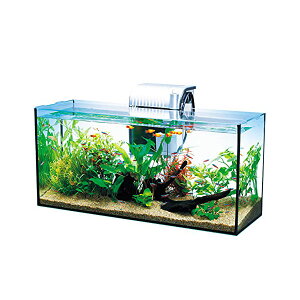 【3個セット】 スペクトラムブランズジャパン テトラ Tetra ガラス 水槽 オールグラスアクアリウム GA-600F 水槽アクアリウム 熱帯魚 メダカ 金魚 熱帯魚・観賞魚 アクアリウム用品 水槽セット