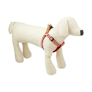 [hbO J^\tgn[lX KRKS-M/RD bh MTCY   ybg pi Sf i1̂lił