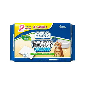 【12個セット】 大王製紙株式会社 キミおもい　徹底キレイおそうじシート　大判厚手　ナチュラルグリーンの香り26枚×2P