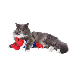 yeBI Lp 炭炭f^TOY 肮 ݂ȃGr SL Petio W27195 ʂ ybgp n~KL SN ybg  킢 Lpi Lp Gr ߋ Sf