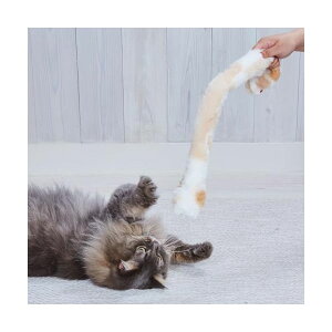 yeBI Lp ɂvL炵 ƂȂ̂˂p` SL Petio W27422 I[Xe[W SLp 炵 ybg  킢 Lp ߋ Sf i1̂lił