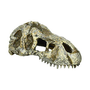 y3Zbgz WFbNX T-REXXJS PT2860 Y  {̃TCY 15×s7×6cm GEX oXLOX|bg VF^[ ANZT[ GL]e CAEg eE tgAS ঒