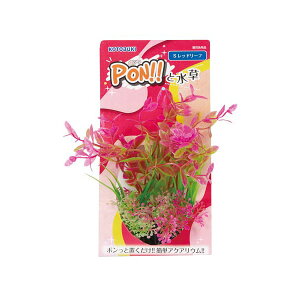 y12Zbgz H| PON-S bh [t Sf