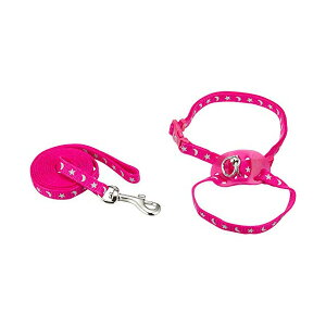 A[Xybg ˂e CX^u[03 փZbgN  Lpn[lXE[h L N A[XEybg lR Lbg Lp  EFA n[lX [h ybg L ^[L[ 