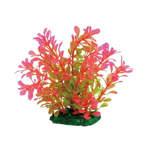 y6Zbgz }J ~iXvc M-1 NAP-194 MARUKAN ANZT[ ANAE jb\[  TCY lH IuWF  pANZT[ jb\[ƕ ~iXv