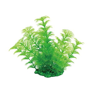 y6Zbgz }J ~iXvc M-4 NAP-197 MARUKAN ANAE jb\[ TCY Ϗ܋  lH ybg  pANZT[ jb\[ƕ ~iXvc 