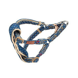 y3Zbgz hM[}nV picƕDT  ̂ǂ SS fj B/DOT Sf