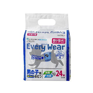 V[YCVn GuEFA łp ^ TCY 24 Sf i1̂lił