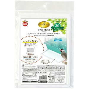 y3Zbgz }J o[hpX gCV[g30 30