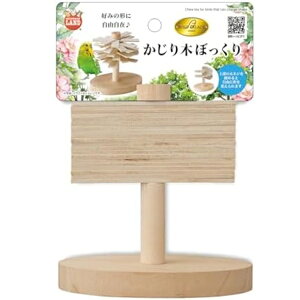 y6Zbgz }J o[hpX ؂ڂ