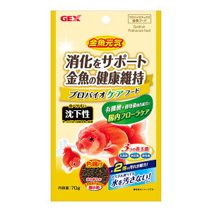 y6Zbgz WFbNX C voCIPAt[h  70g