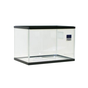 H| KOI[KX 450M RguL Sf i1̂lił