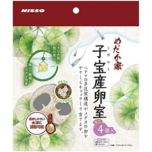 y3Zbgz }J ߂ƎqY~j 4 }Jjb\[