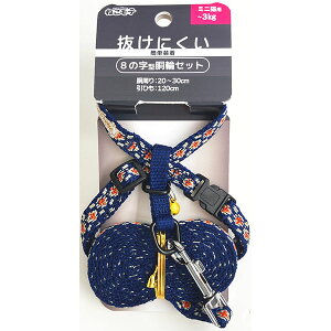 y6Zbgz A[Xybg ˂e IeK8փZbg ~jL  A[XEybg