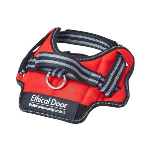 y3Zbgz yeBI p EthicalDoor C[W[EFAn[lX bh S