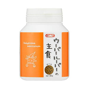 y3Zbgz CgXC Rbg E[p[[p[̎H 85g