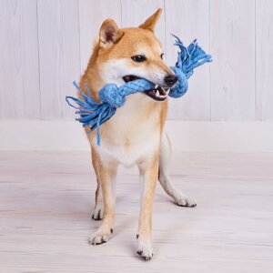 y3Zbgz yeBI vVbvƕ p fjf^[v M