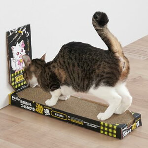 y12Zbgz yeBI Lp ʎg߂݂ 