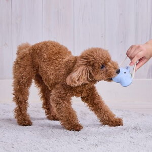 y6Zbgz yeBI vVbvƕ p ӂӂps[gC [v!݂͂ʂ 