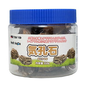 y3Zbgz _{pi v`ANA̐ CE 350g