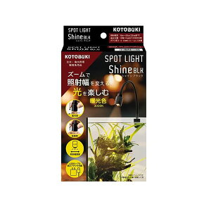 �y3�Z�b�g�z ���H�| �X�|�b�g���C�g�V���C�� �u���b�N