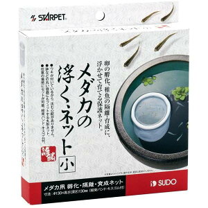 y10Zbgz Xh[ _J̕a jqp 20g