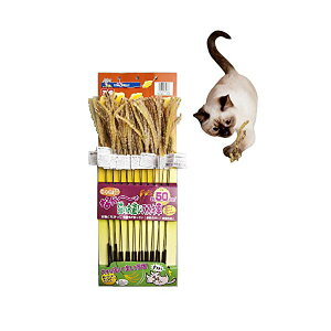 y12Zbgz hM[}nV LL̂VуXXL 20{t䎆