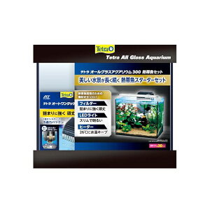 XyNg uY Wp eg I[OXANAE300 MыZbg