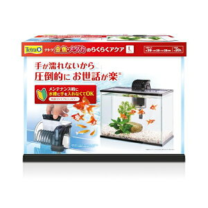 XyNg uY Wp eg E_Ĵ炭炭ANAL